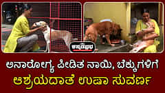 ಅನಾರೋಗ್ಯ ಪೀಡಿತ ನಾಯಿ, ಬೆಕ್ಕುಗಳಿಗೆ ಆಶ್ರಯದಾತೆ ಉಷಾ ಸುವರ್ಣ